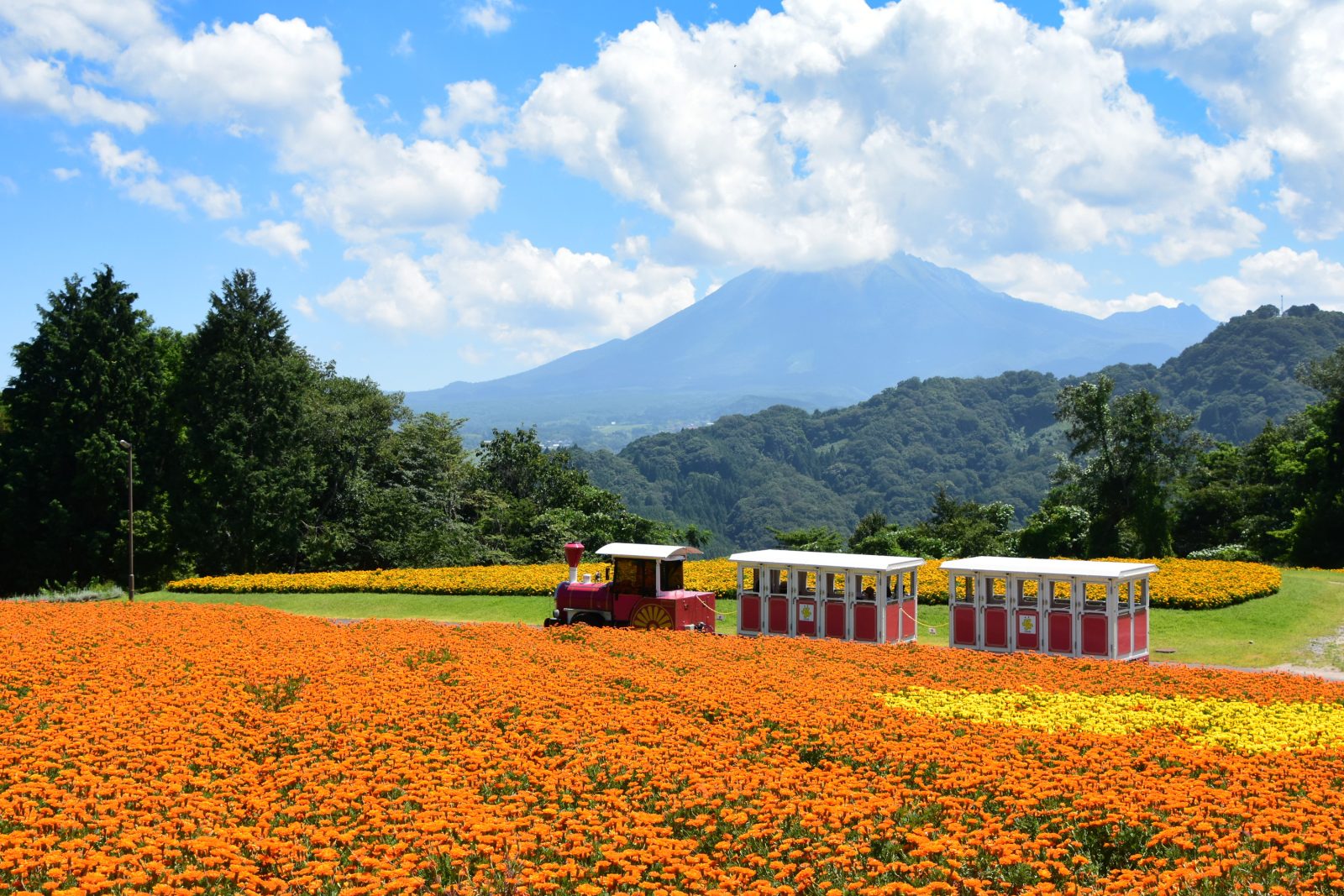 旅游信息&活动高层|鸟取大山美居温泉度假酒店