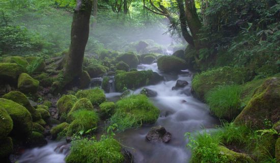 木谷泽溪流