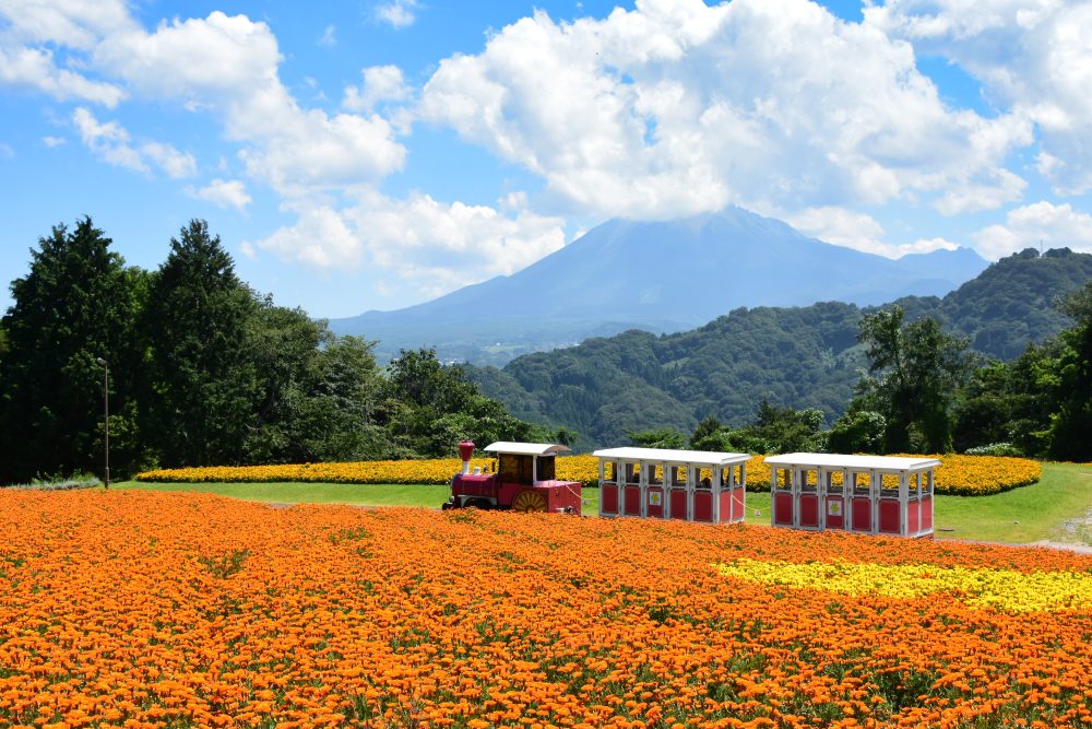 Tottori Flower Corridor