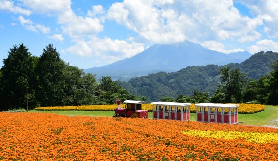 Tottori Flower Corridor