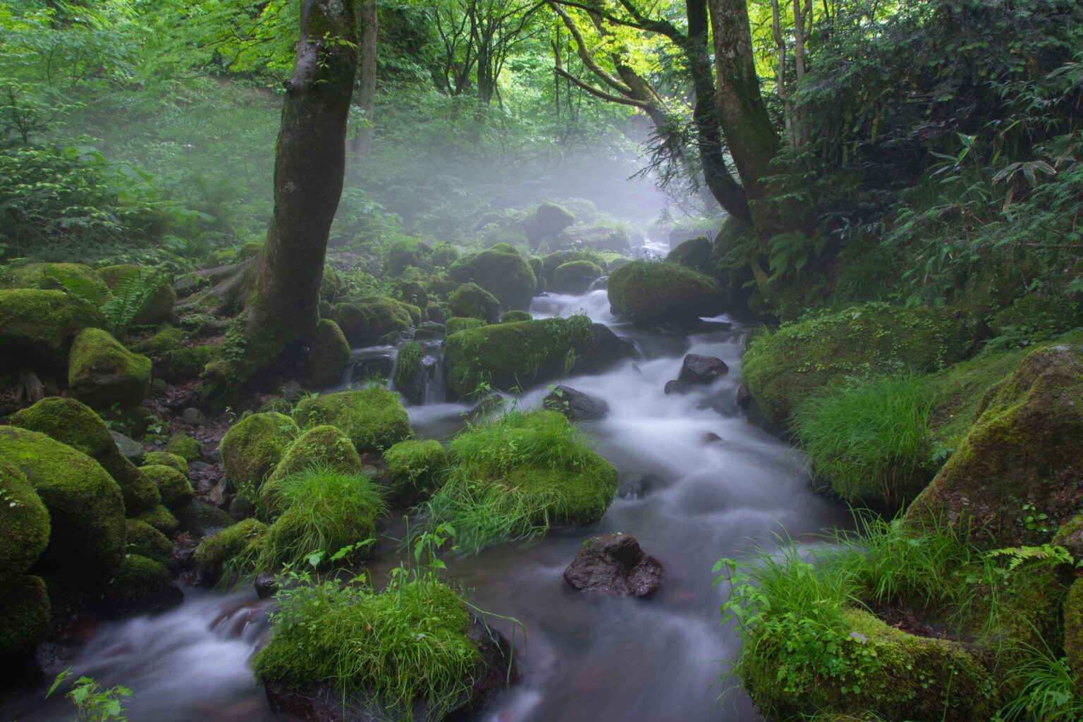 Kitanizawa mountain stream | Mercure Tottori Daisen Resort & Spa