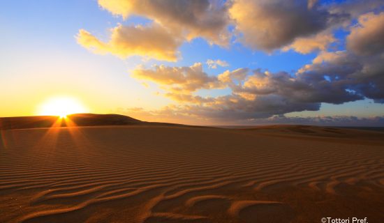 Tottori Sand Dunes and Sand Museum