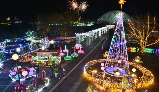 Flower illumination in Tottori Flower Corridor