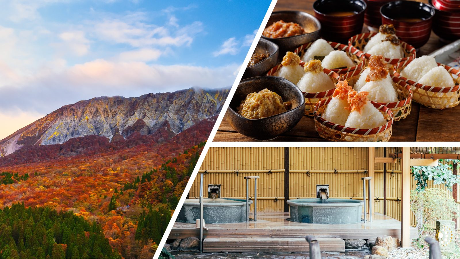 Late Summer and Autumn Special Offers