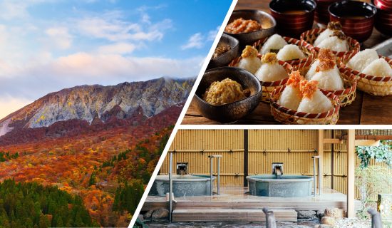 Late Summer and Autumn Special Offers