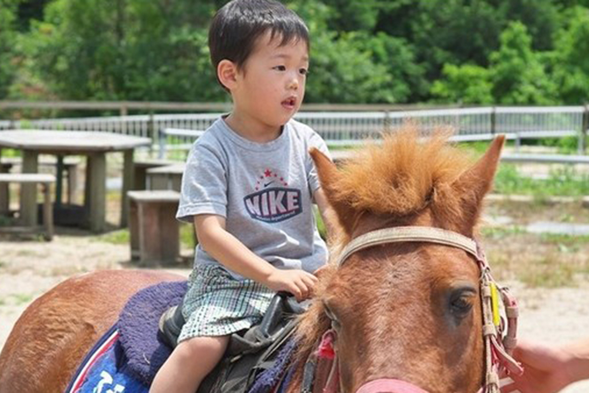 오야마 승마 센터 |머큐어 돗토리 다이센 리조트 & 스파