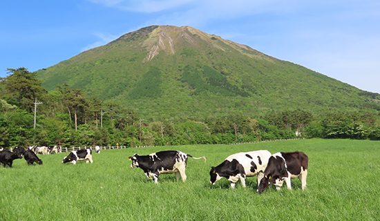 照片畫廊圖像|鳥取大山美居溫泉度假酒店