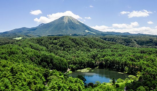 照片畫廊圖像|鳥取大山美居溫泉度假酒店