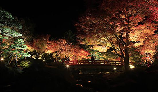 照片畫廊圖像|鳥取大山美居溫泉度假酒店