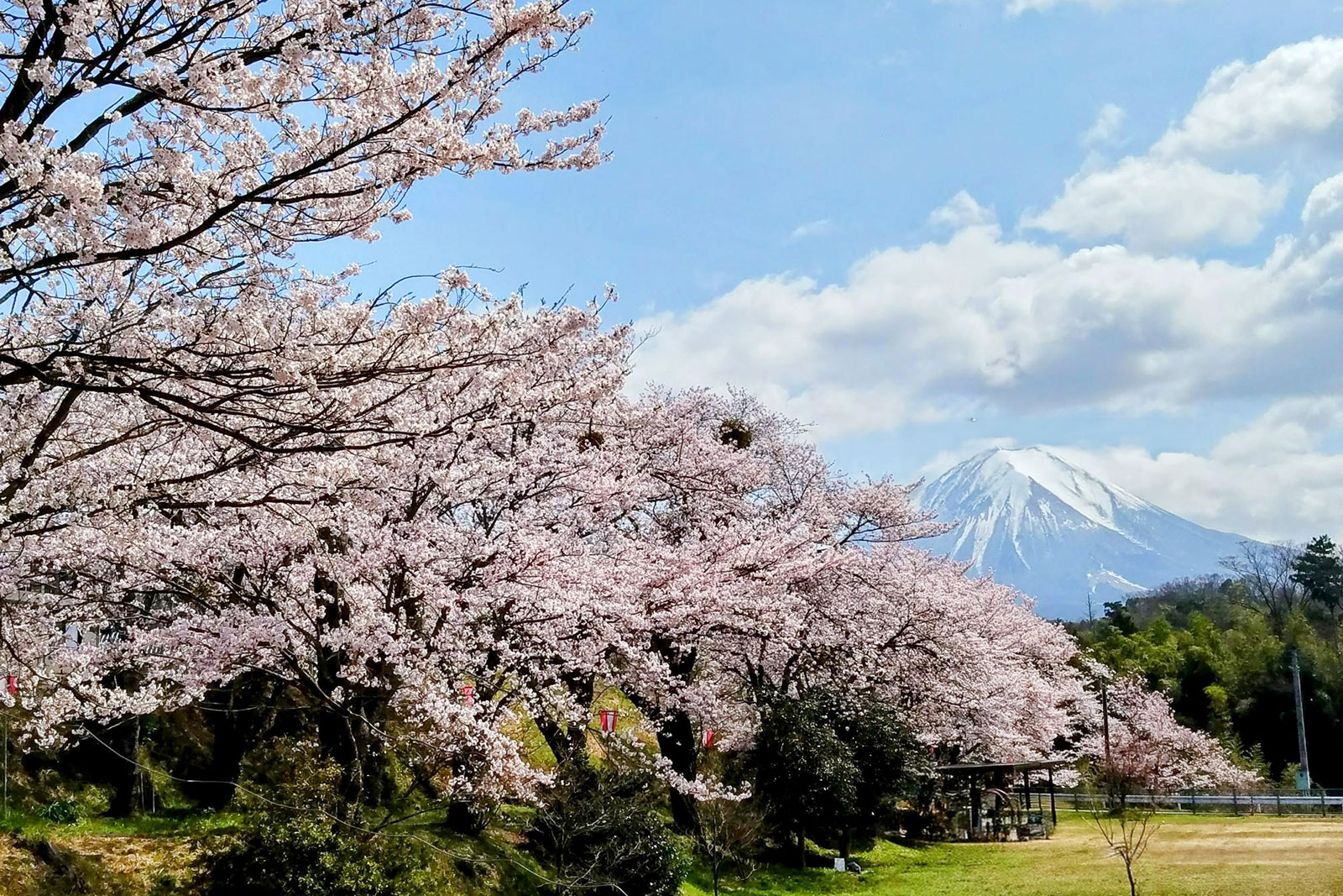 主要視覺形象|鳥取大山美居溫泉度假酒店