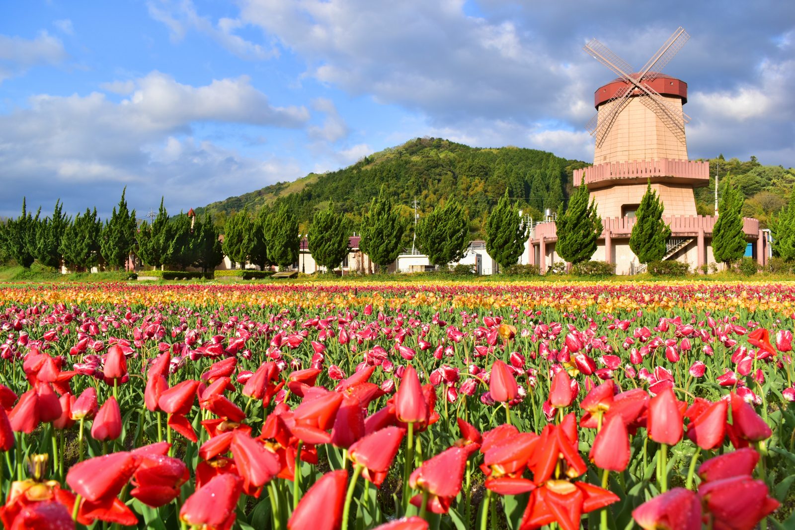 主要視覺形象|鳥取大山美居溫泉度假酒店