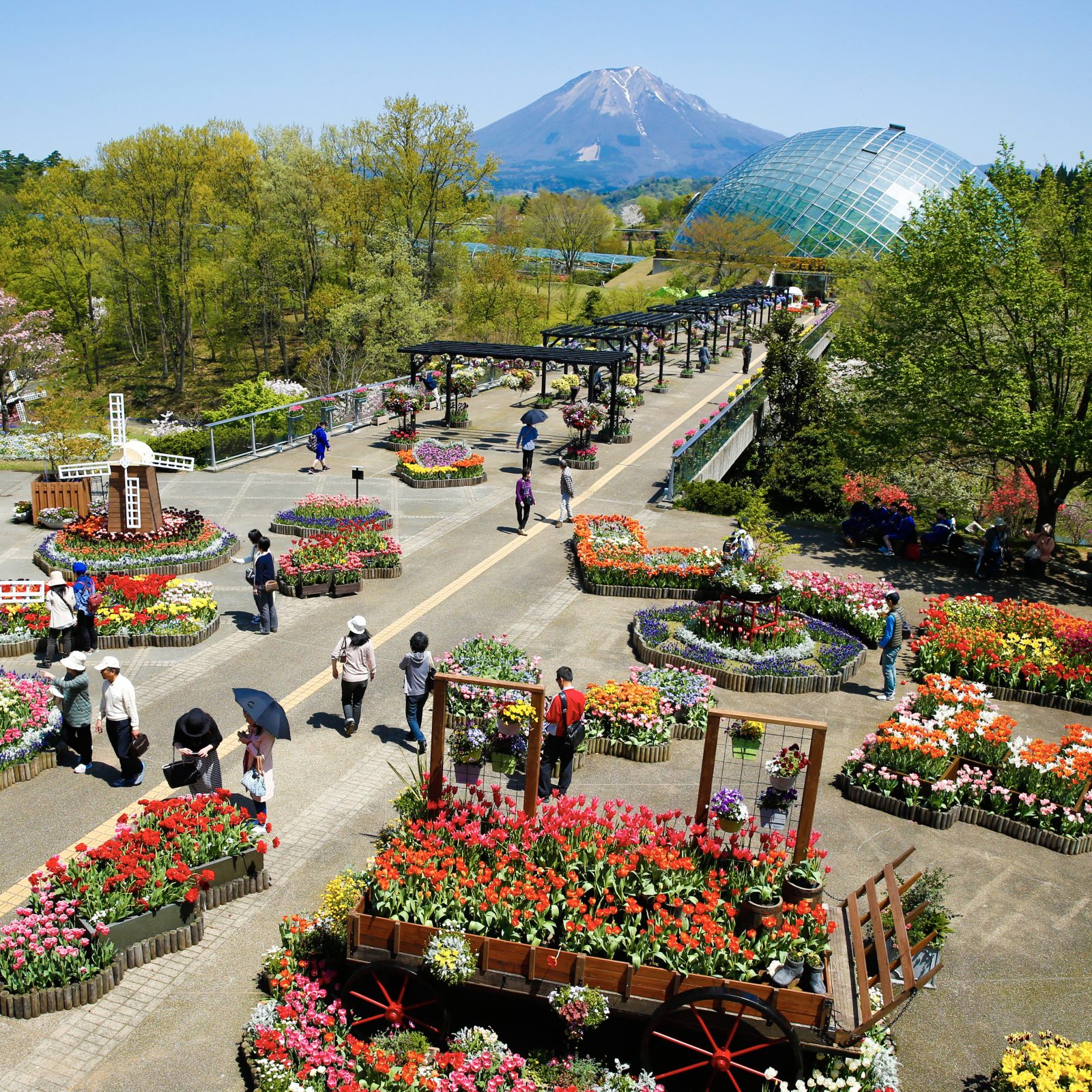 メインビジュアルイメージ｜メルキュール鳥取大山リゾート＆スパ