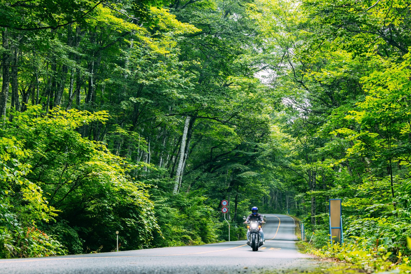 メインビジュアルイメージ｜メルキュール鳥取大山リゾート＆スパ