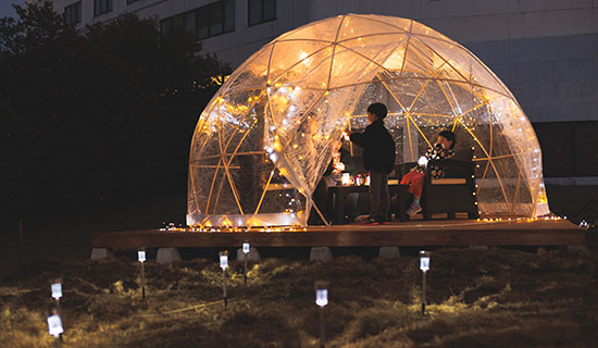 クリスマスライトアップ